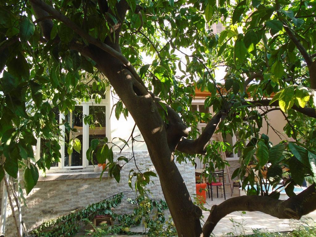 Lotus Garden Hostel İzmir Bilik gambar